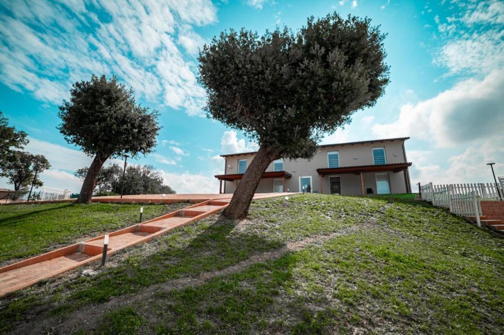 Agriturismo Il Colle Dei Lecci Анкона Екстериор снимка